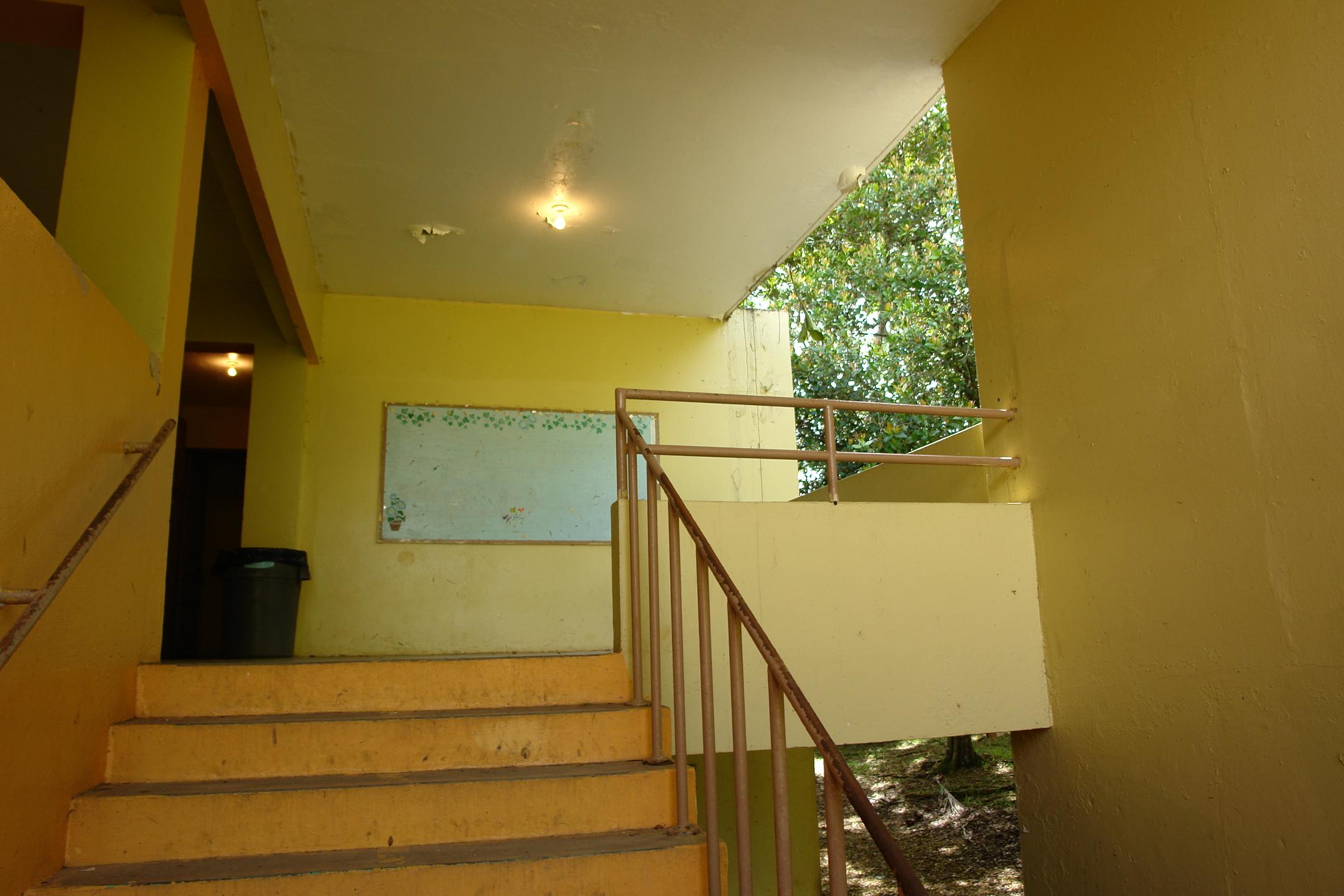 FDII - Aibonito - 2010 00068